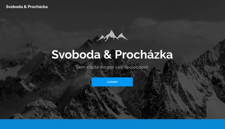 Šablona: Obchodní poradenství